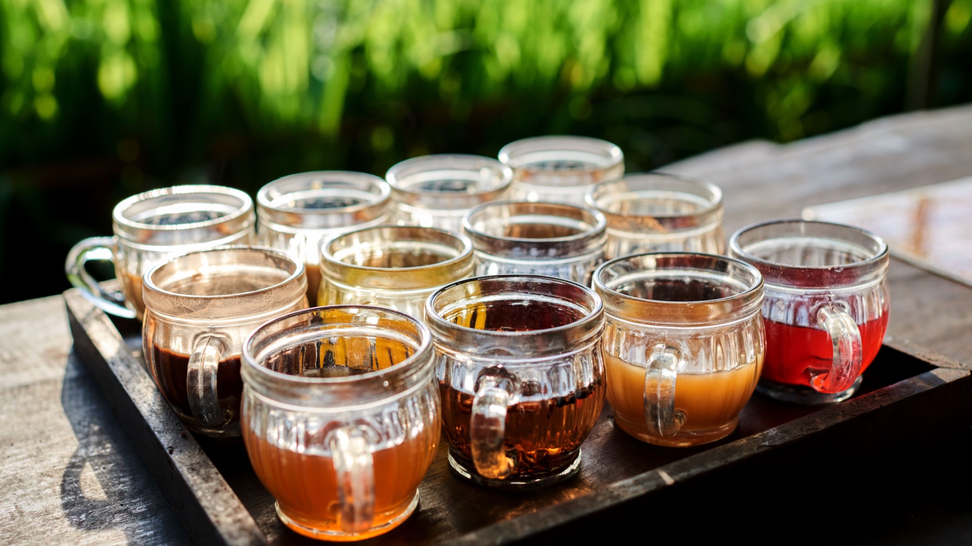 Coffee plantation in bali