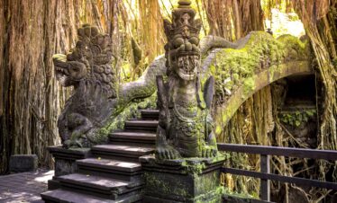 Explore Ubud monkey forest