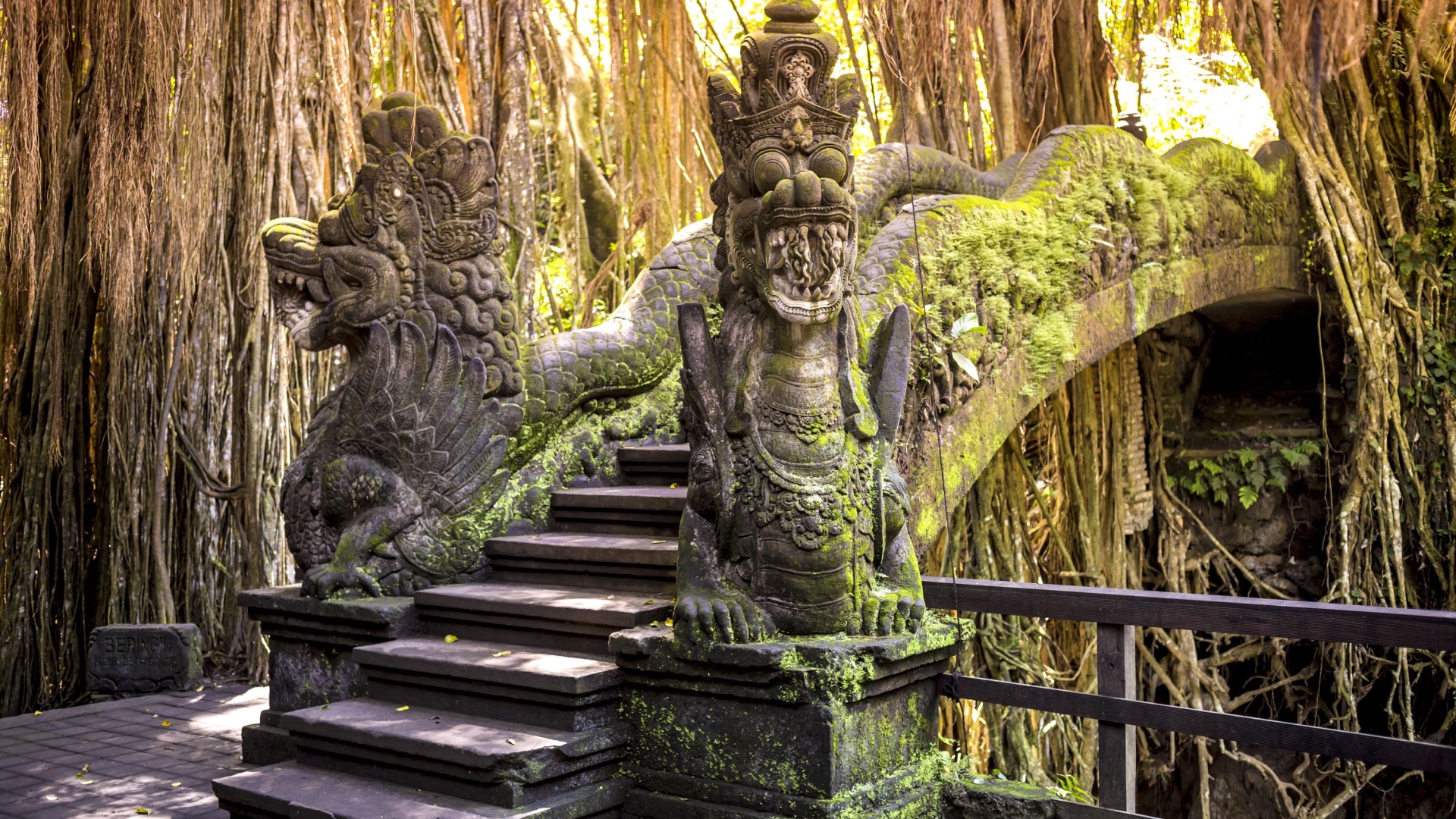 Explore Ubud monkey forest