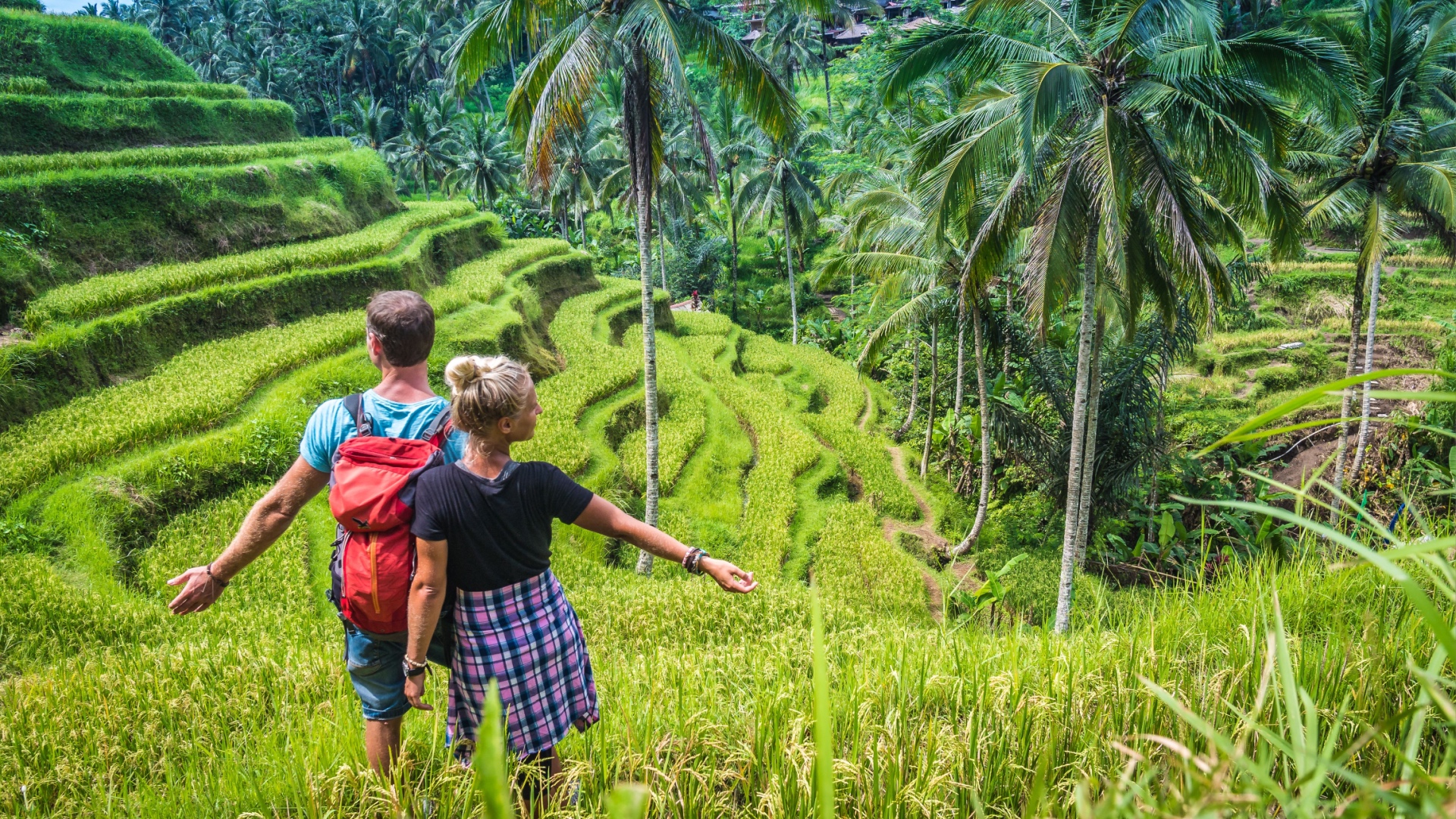 Tegalalang rice terrace in ubud bali